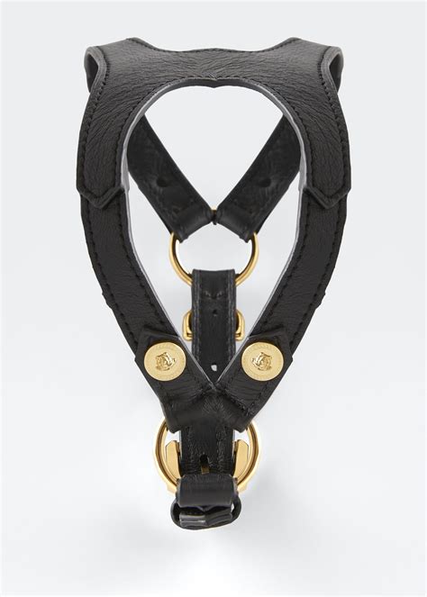 versace dog harness